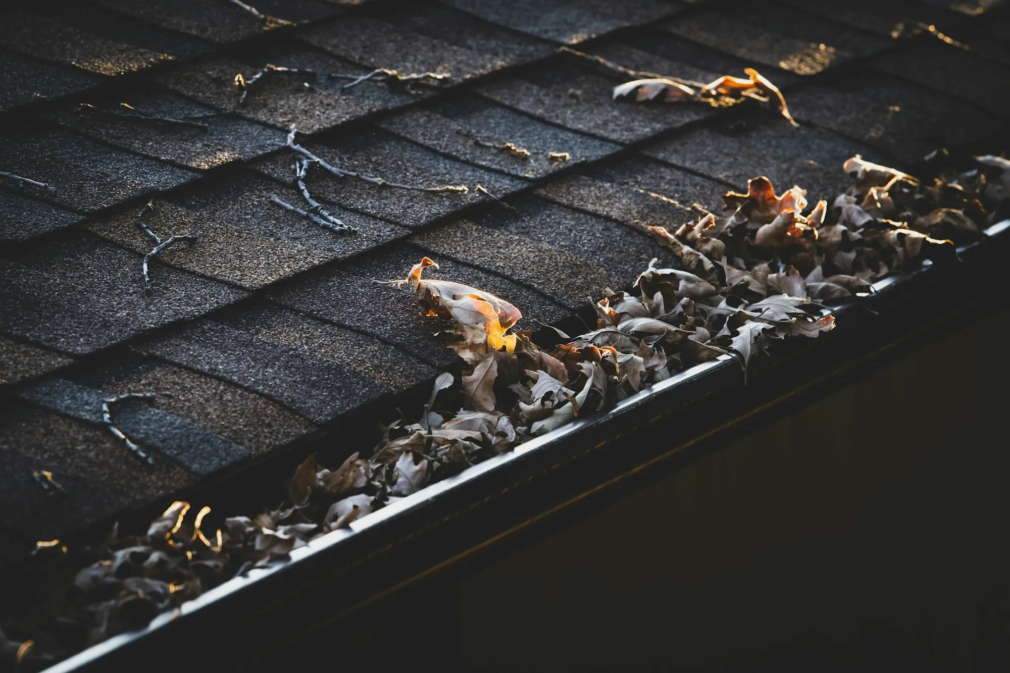 Gutter clogged with dry leaves at the edge of a shingle roof, the kind of buildup that leads to clogged gutter roof damage on Duluth homes
