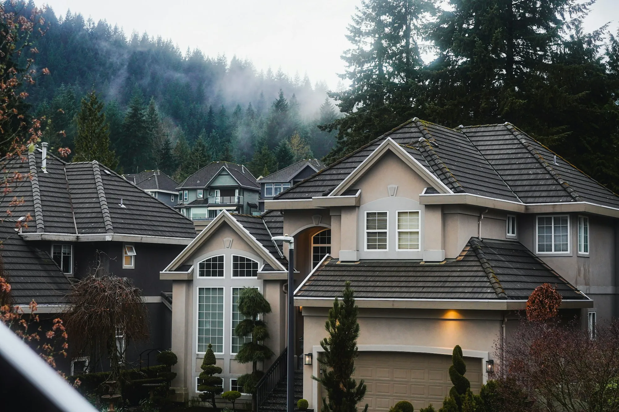 Two-story homes with gray shingle roofs and misty pine trees behind
